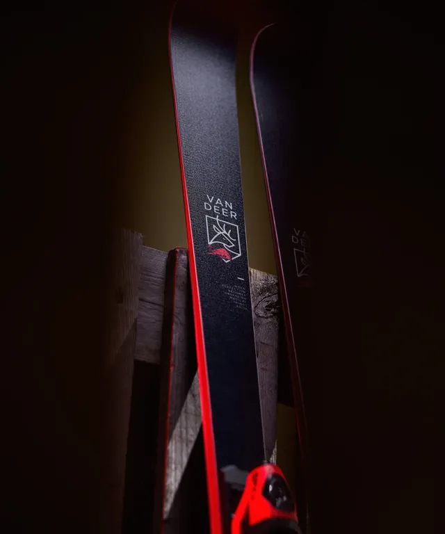 Горные лыжи Van Deer юниорские для гиганта 24/25 GS-JR PRO 16 154cm Радиус 16м + Платформа Look R21 PRO