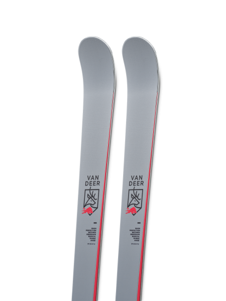 Юниорские Van Deer GS-JR PRO 169cm R19 grey с платформой Marker JR Race Pivot