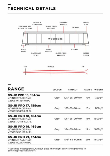 Горные лыжи Van Deer юниорские для гиганта 25/26 GS-JR PRO 174cm R21 grey с платформой JR RACE INF PIVOT