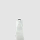 Носки UNISEX ESSENTIAL LOW CUT SOCKS 2PRS PACK White